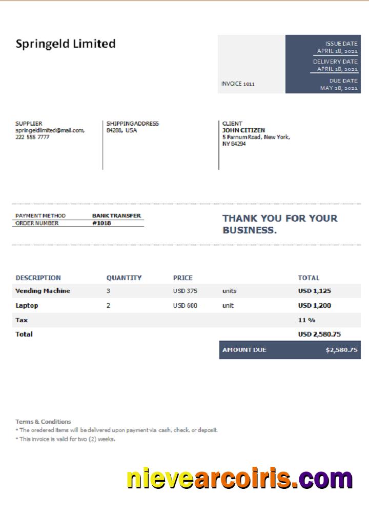 USA Springeld Limited invoice